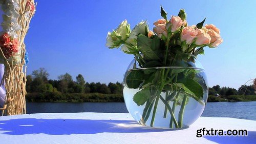 Roses in Vase - HD Video Footage