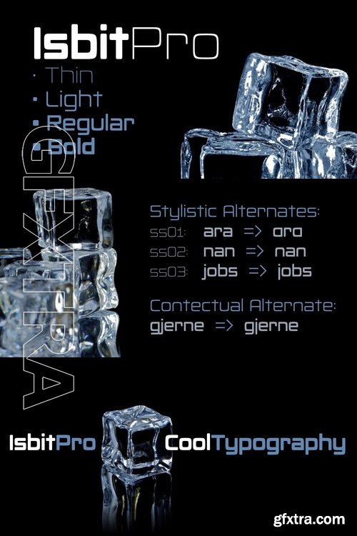 Isbit Pro - 4 fonts: $40.00