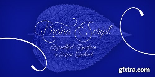 Encina Script Font Family - 2 Fonts