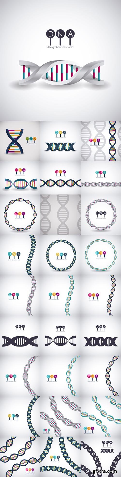Vector Set - Dna structure chromosome icon. Science molecule genetic and biology theme