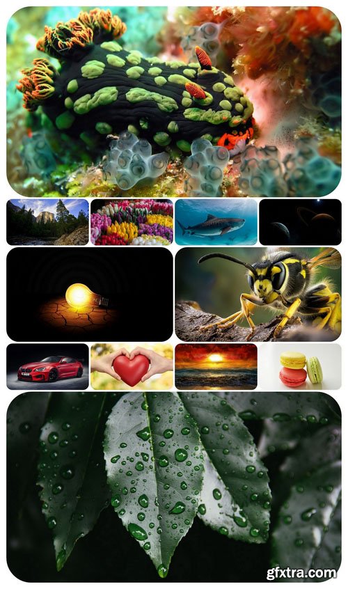 Beautiful Mixed Wallpapers Pack 394