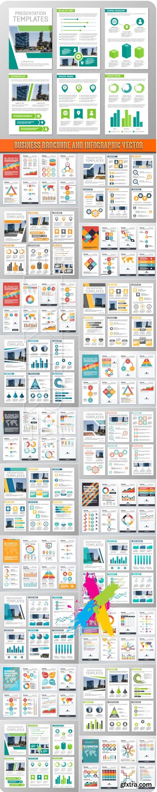 Business Brochure and Infographic vector
