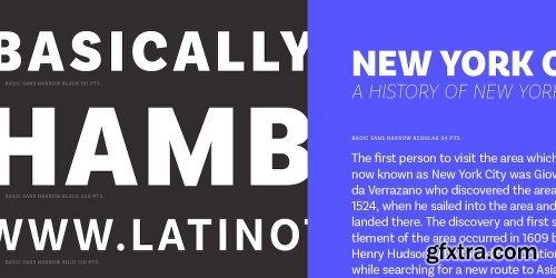 Basic Sans Narrow Font Family - 28 Fonts $999