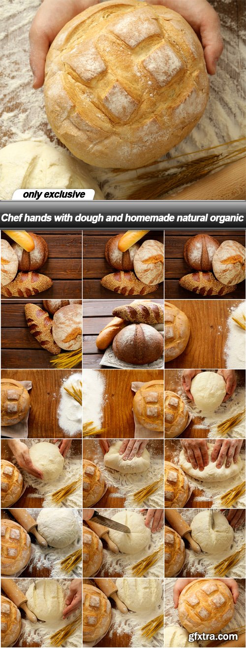 Chef Hands with Dough and Homemade 18xJPG