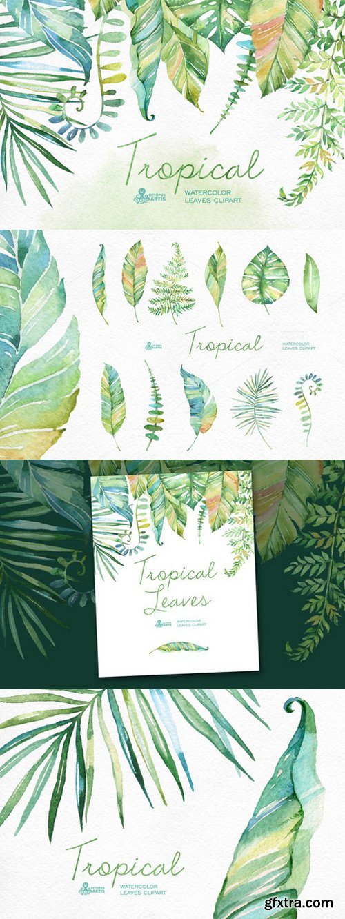 CM - Tropical watercolor leaves 302884