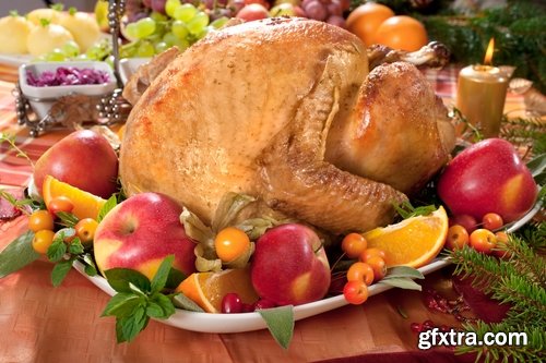 Collection roast turkey gobbler hen holiday dish 25 HQ Jpeg