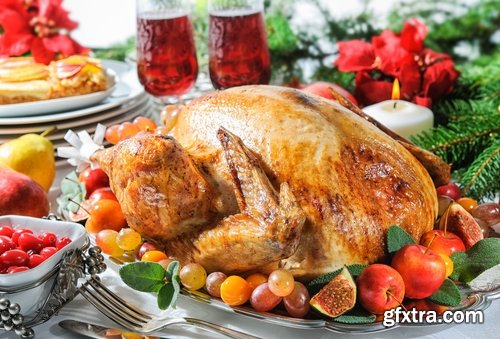Collection roast turkey gobbler hen holiday dish 25 HQ Jpeg
