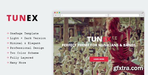 ThemeForest - TUNEX - Music &amp; Entertainment PSD Template 9945096