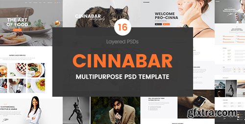 ThemeForest - Cinnabar – Multipurpose PSD Template 17101311