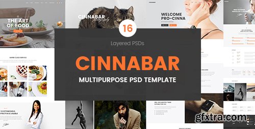 ThemeForest - Cinnabar &ndash; Multipurpose PSD Template 17101311