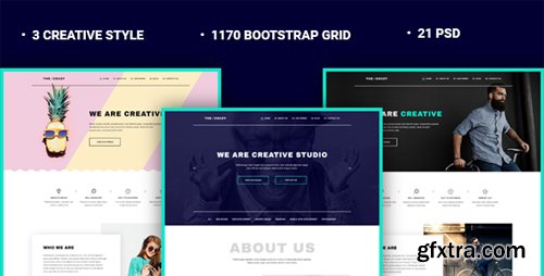 ThemeForest - The Crazy - Creative Agency PSD Template 15434585