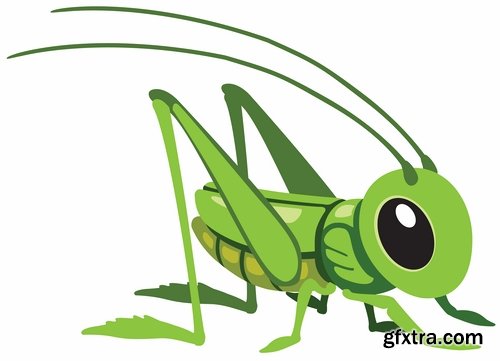 Collection of locust grasshopper insect pest a vector image 25 EPS