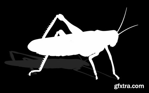 Collection of locust grasshopper insect pest a vector image 25 EPS