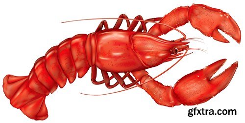 Lobster vector, 11 ? EPS
