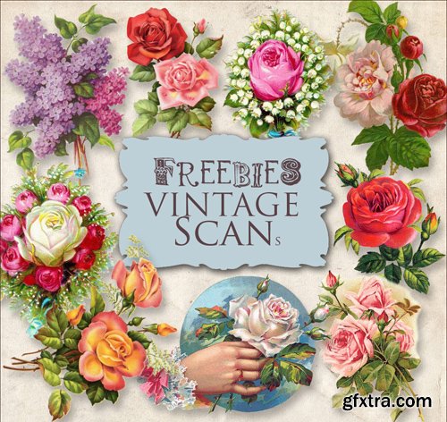 Scrap Kit - Vintage Flower Illustrations, part 5