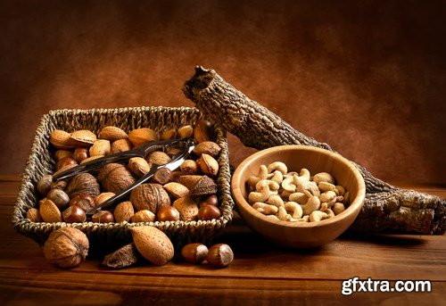 World of Nuts - 40xUHQ JPEG