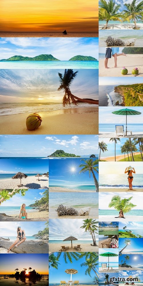 Coconut on the beach. Sunset time. Sea, sky and palm blured on background. Focus on coconut