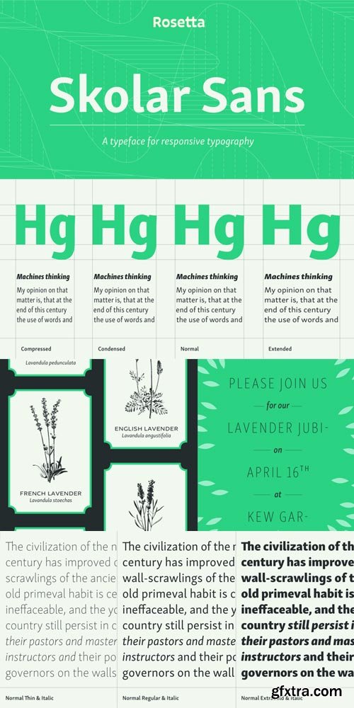 Skolar Sans PE Font Family $3560 Skolar Sans PE Font Family $3560