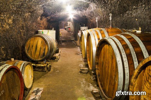 Wine cellar and wine barrels - 14xUHQ JPEG Photo Stock