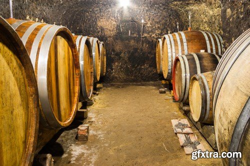 Wine cellar and wine barrels - 14xUHQ JPEG Photo Stock