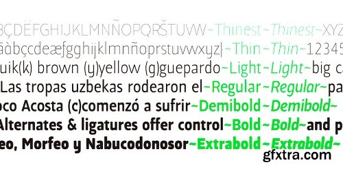 Cavita Rounded Font Family 14 Fonts