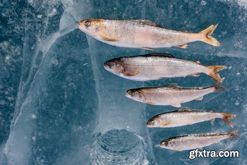 Winter Fishing 24xJPG