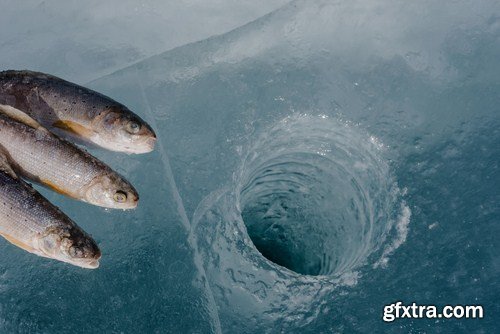 Winter Fishing 24xJPG