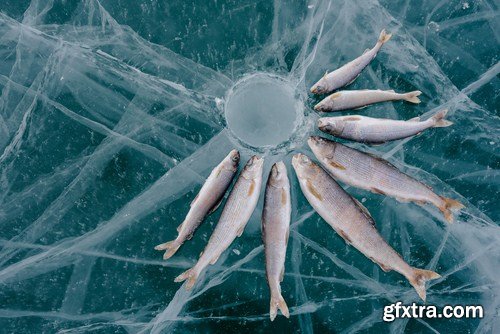 Winter Fishing 24xJPG