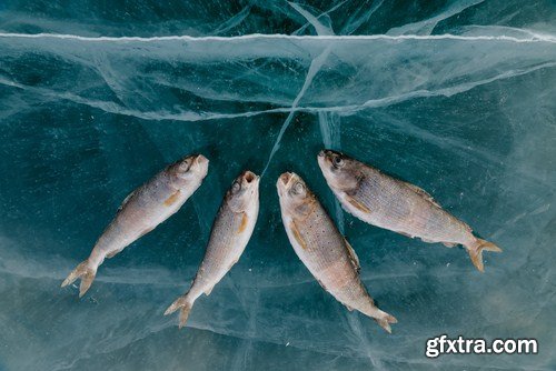 Winter Fishing 24xJPG