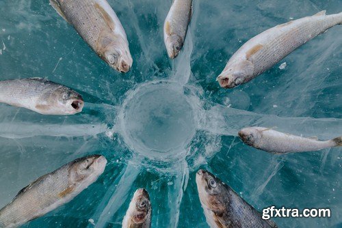 Winter Fishing 24xJPG