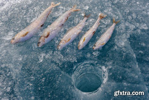 Winter Fishing 24xJPG