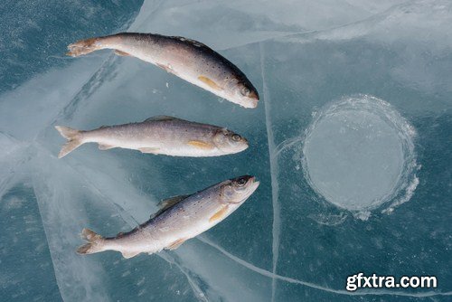 Winter Fishing 24xJPG