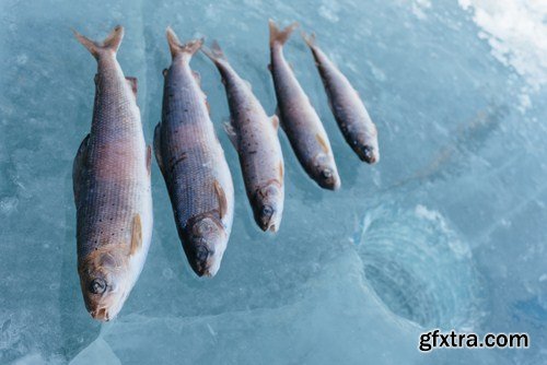 Winter Fishing 24xJPG