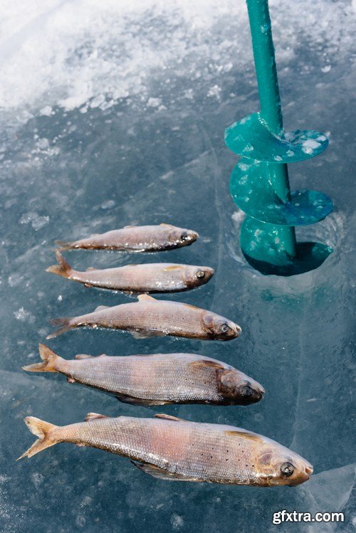 Winter Fishing 24xJPG