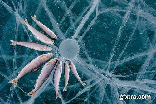 Winter Fishing 24xJPG