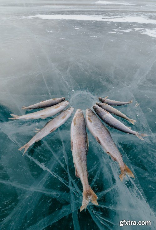 Winter Fishing 24xJPG