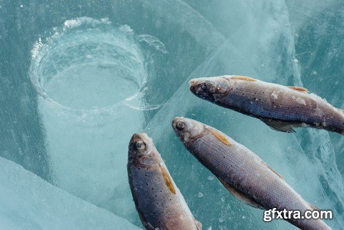 Winter Fishing 24xJPG