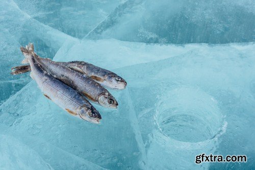 Winter Fishing 24xJPG