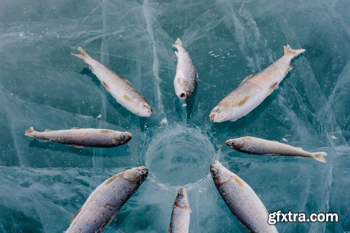 Winter Fishing 24xJPG