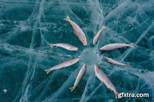 Winter Fishing 24xJPG