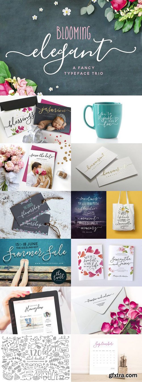 CM - The Blooming Elegant Font Trio 537891