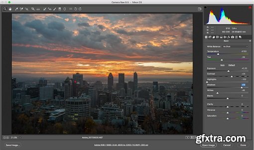 Adobe Camera Raw 9.8 Final (Mac OS X)