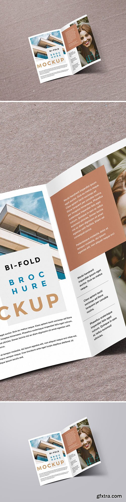 PSD Mock-Up - Bi-Fold Brochure 2016