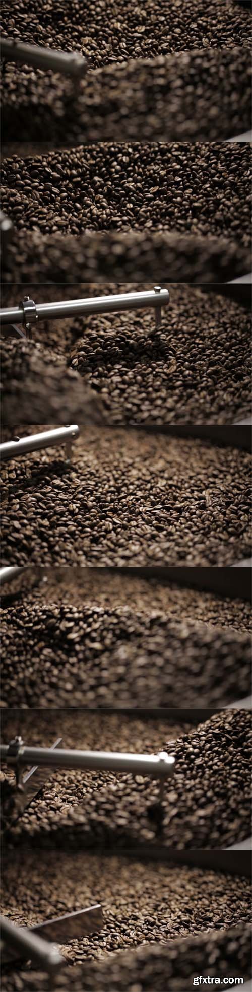 MA - Roasted Coffee Beans