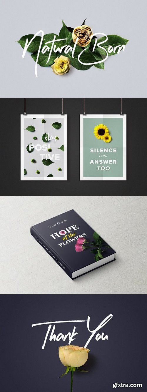 CM - Flower Boom Graphic Pack 1130369