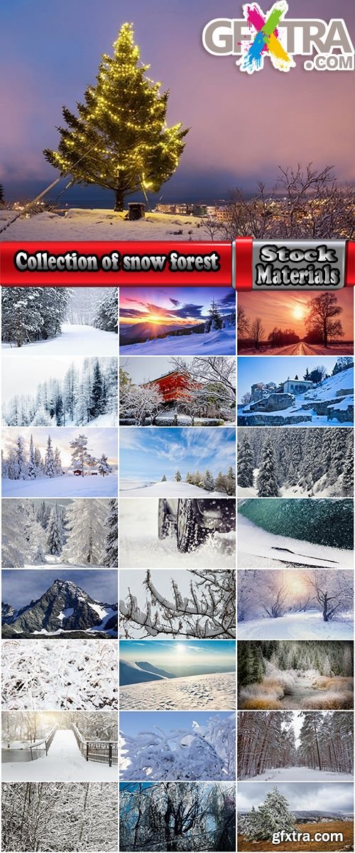 Collection of snow forest ice bush tree 25 HQ Jpeg