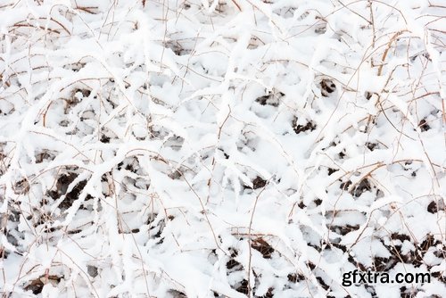 Collection of snow forest ice bush tree 25 HQ Jpeg