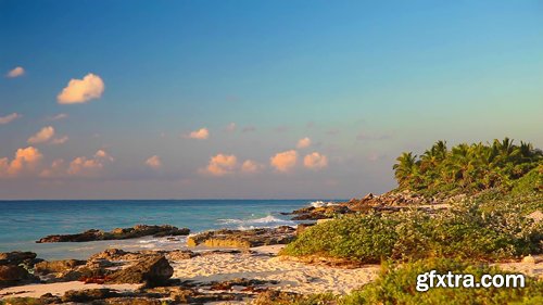 MA - Morning On A Wild Beach MA - Morning On A Wild Beach