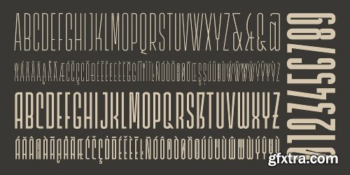 A Type Noir Collection Font Bundle - 20 Fonts