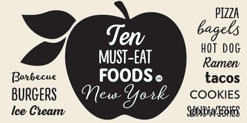 The Best of DearType’s Scripts & Sans Serifs Font Bundle - 16 Fonts